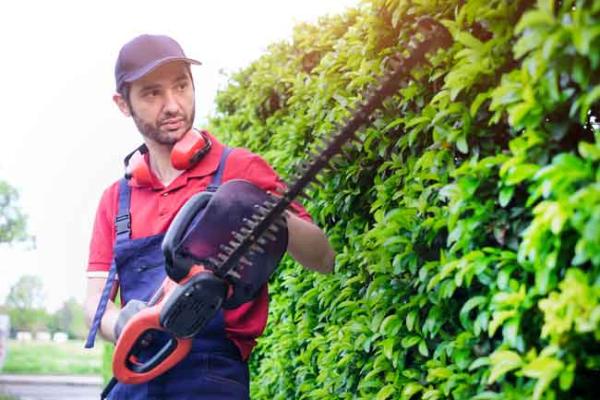 RedMax Hedge Trimmers Styles Explained