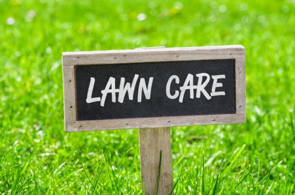 How to Take Care of Lawn and Landscaping During Water Restrictions