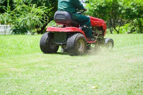 The Essential Quick-Guide To Lawn Mower Types