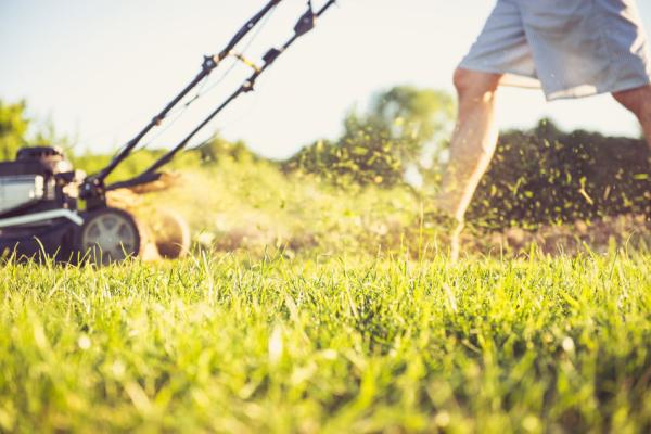 5 Kinds of Lawn Care Equipment That Will Help You Get Ready for Spring