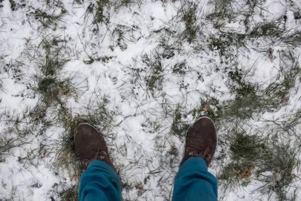 5 Tips For Winter Yard Work