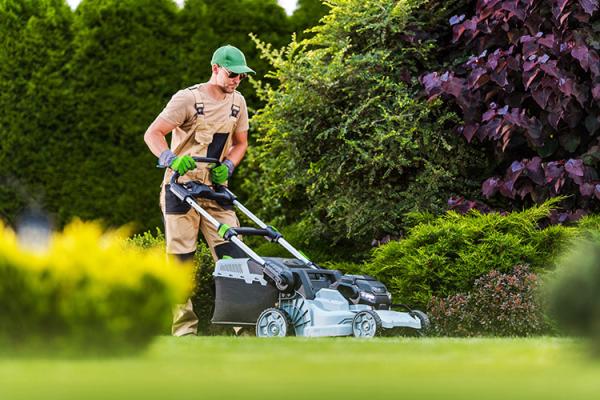 Looking for New Battery-Powered Lawn Equipment? Check Out EGO Cordless Electric Tools