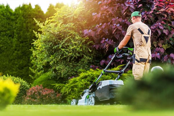 5 Tips To Get Your Lawn and Landscaping Company Ready for Summer