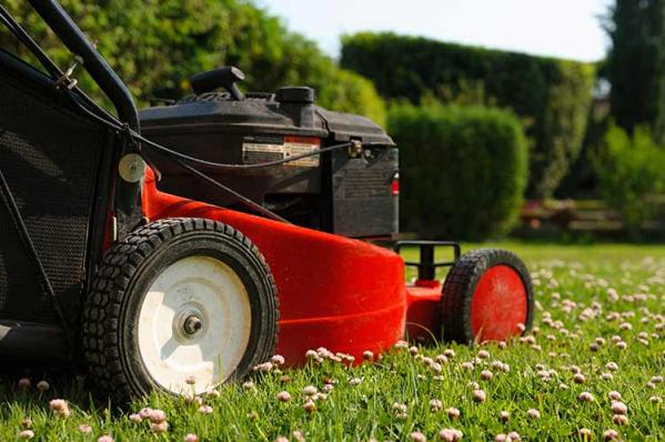 A Beginners Guide To Lawn Care Equipment