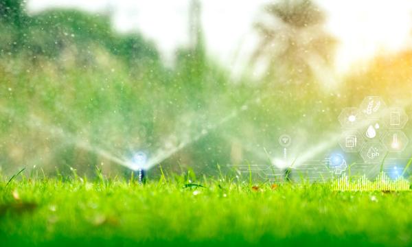 Here’s What You Should Know About Sustainability, Water Conservation, and Irrigation