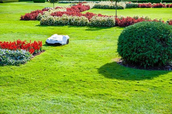 Answers to Your Top 5 Questions About Robot Lawn Mowers