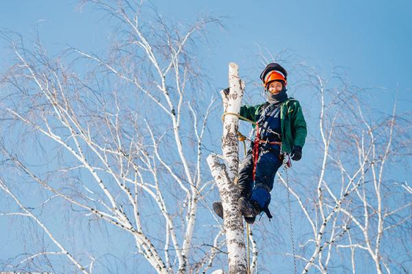 Winter Arborist Essentials - Gear & Tips