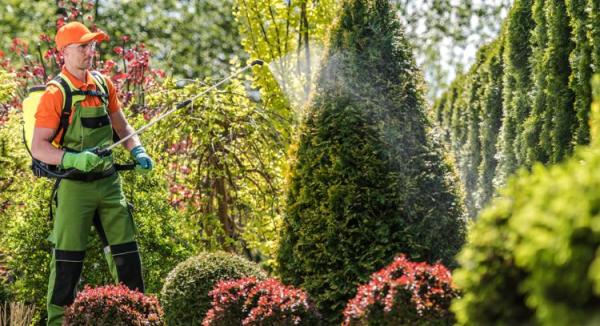 Buying Guide: Sprayers and Spreaders for Home and Professional Use
