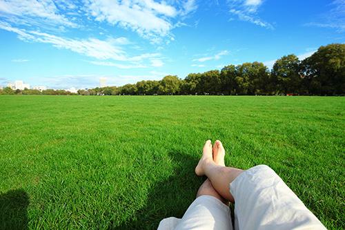 Simple Summer Lawn Care Tips