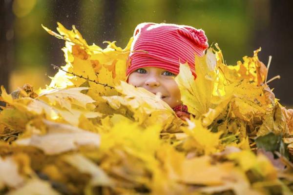 Here Are 5 Things You Can Do With All Those Fallen Leaves Other Than Throw Them Away