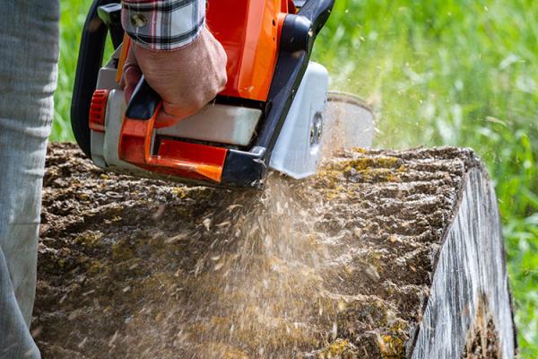 Buying Guide: Choosing The Best Gasoline-Powered Chainsaw