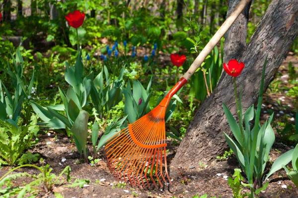 Spring Into A Productive Lawn Care Season With These Spring-Cleaning Tips For Your Yard