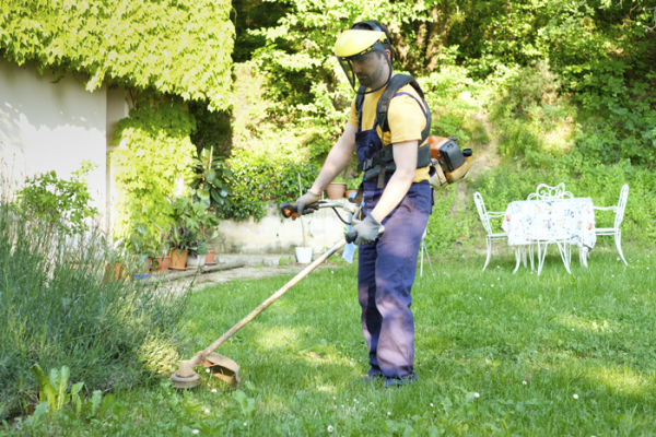 Buying Guide: Choosing The Best Trimmer For Your Lawn