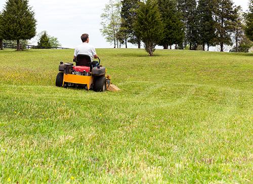 Pros and Cons of a Zero-Turn Mower