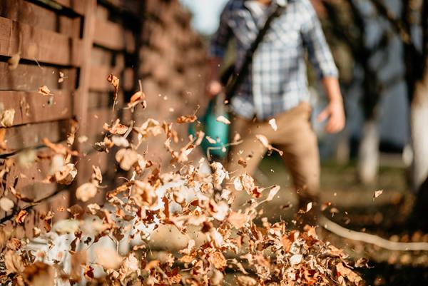 Shredder Vacs and Blowers for Fall Lawn Maintenance