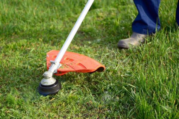 Everything You Need to Know About Grass Trimmer Cutting Heads