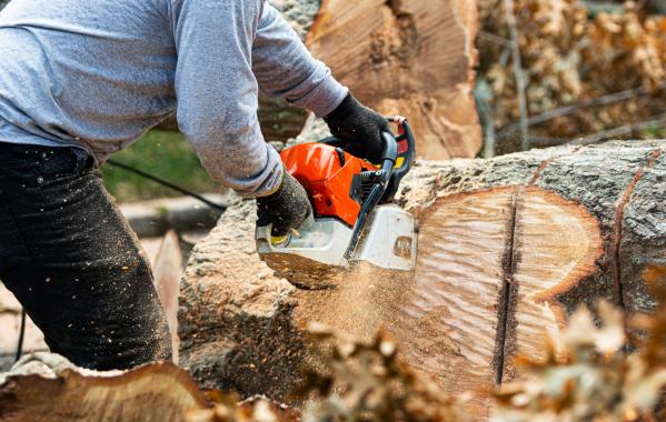 Chip, Chop, Shred, Vac: Getting Unwanted Trees, Branches, Leaves Out of Your Yard
