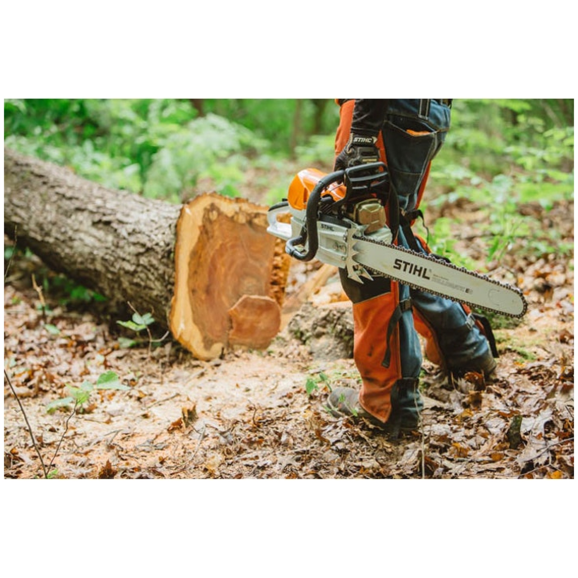 Stihl MS 461 Chainsaw (16, 18, 20, 25 In. Bar) | Chain Saw Store 