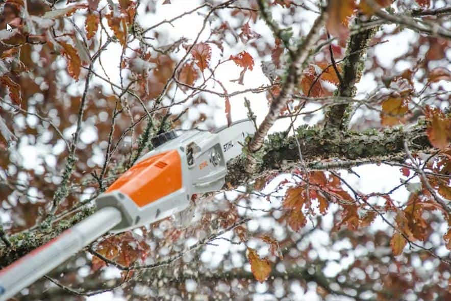 STIHL HTA 50 Battery Powered Pole Pruner (Set) | STIHL Dealer Euless