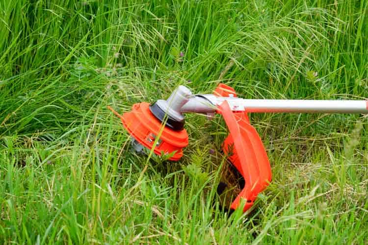 Red Max Tools An Overview Of RedMax Trimmers And Brushcutters | RedMax Dealer McKinney