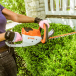 How To Trim Hedges the Right Way