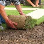 Fertilization and Aeration – 2 Key Steps for A Healthy Texas Lawn