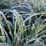 Winterizing Your Lawn and Equipment