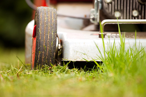 Causes of Lawn Mower Not Starting Forney