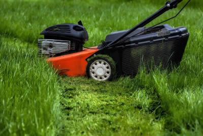 6 steps to reclaiming an overgrown lawn when buying a new house