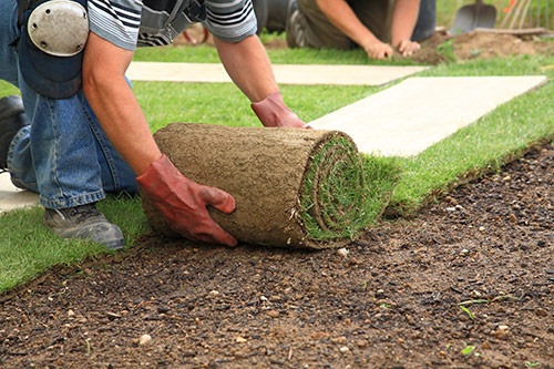 laying-sod-Fertilization-and-Aeration-Steps-for-a-Healthy-Lawn.jpg